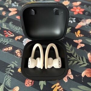 Beats Powerbeats Pro Wireless Earbuds